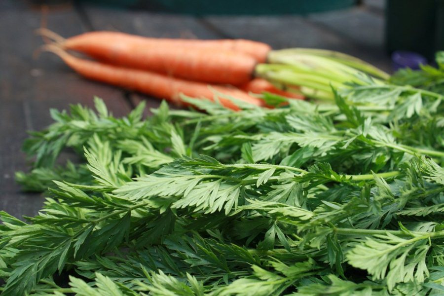 Health Benefits of Carrot Greens