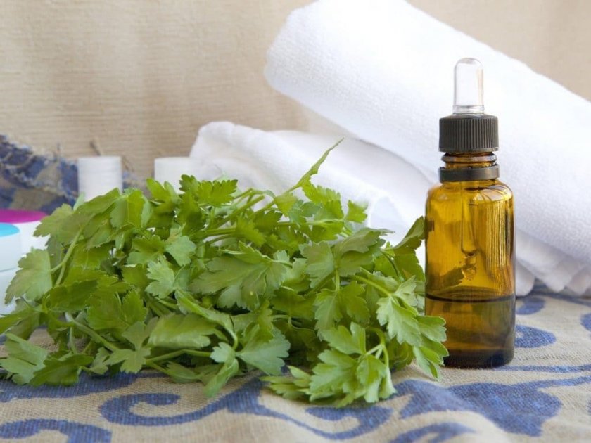 Parsley Seed essential oil benefits